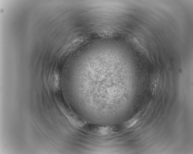 X0000087360130200705041905