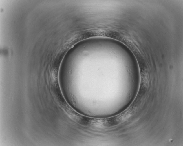 X0000087360131200705041905