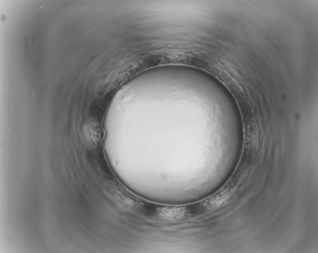 X0000087360135200705041905