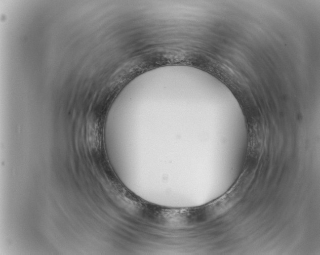 X0000087360136200705041904