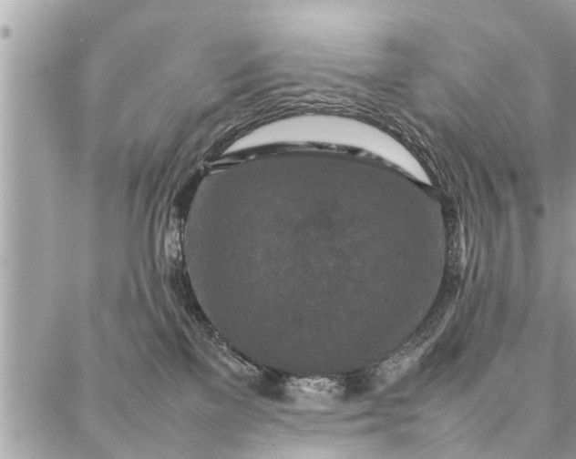 X0000087360137200705041904