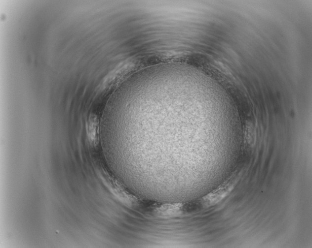 X0000087360138200705041904