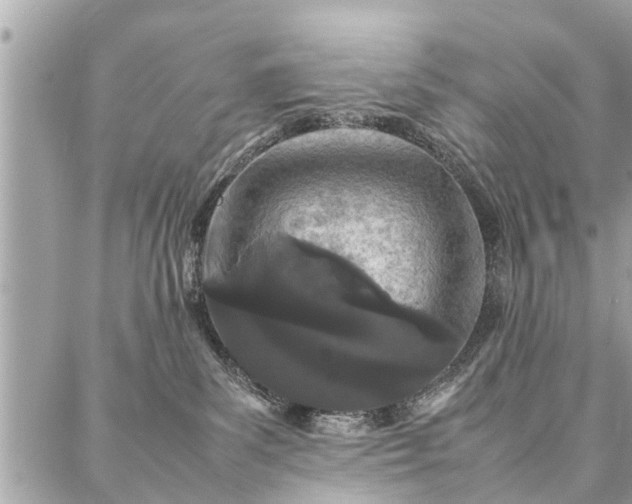 X0000087360139200705041904