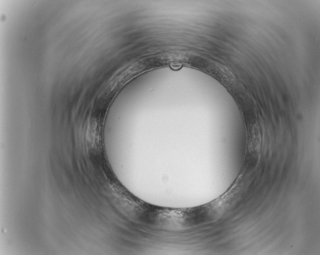 X0000087360140200705041904