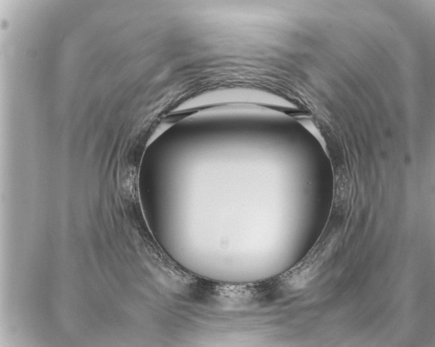 X0000087360141200705041904