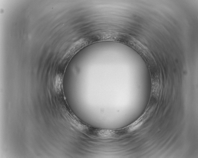 X0000087360142200705041904