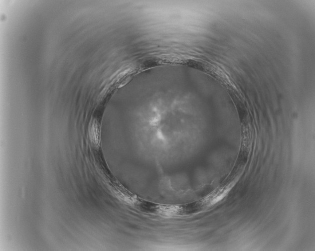 X0000087360143200705041904