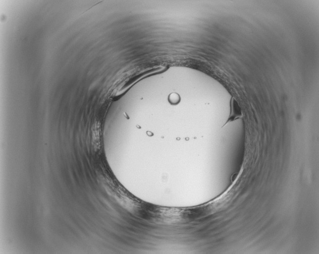 X0000087360144200705041904