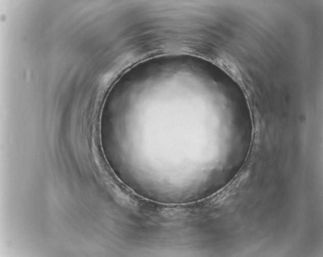 X0000087360145200705041904