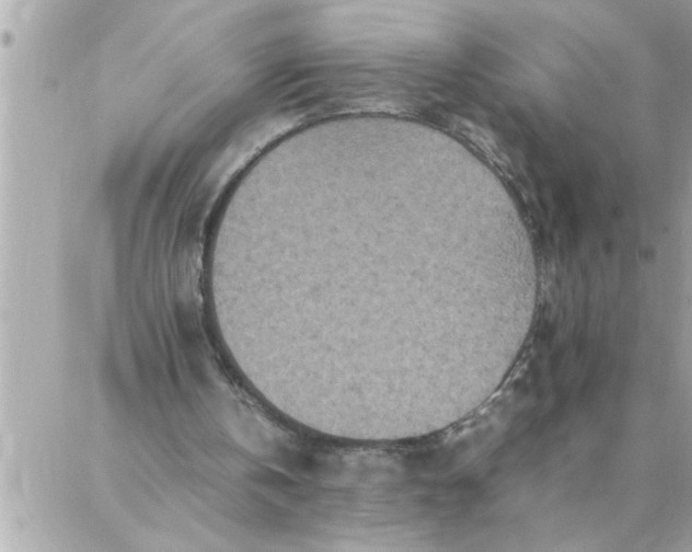 X0000087360146200705041904