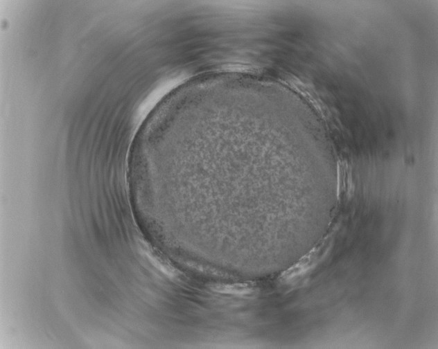 X0000087360147200705041904