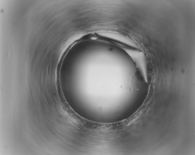 X0000087360148200705041904