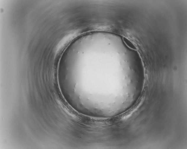 X0000087360149200705041904