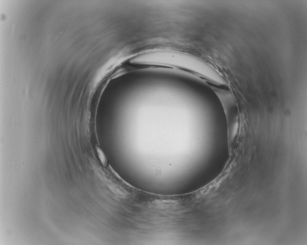 X0000087360150200705041904