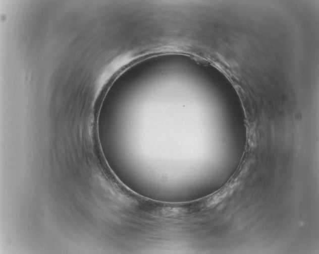 X0000087360152200705041904