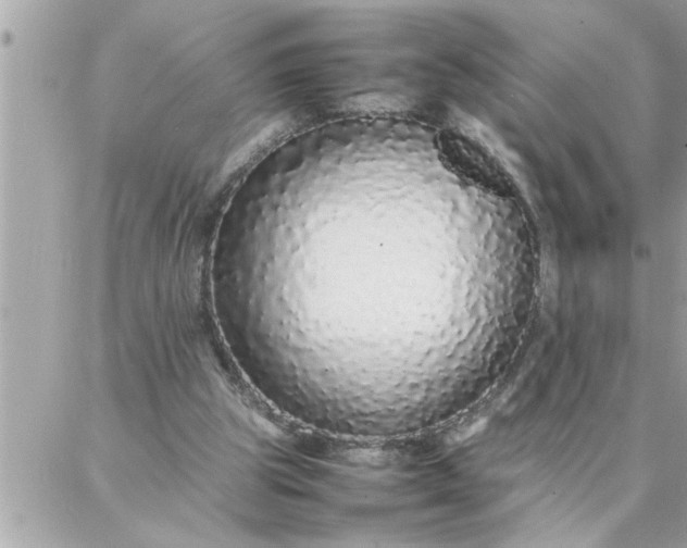 X0000087360153200705041904