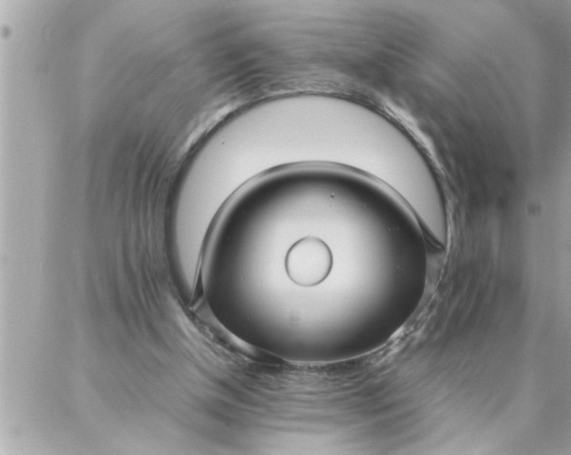 X0000087360154200705041904