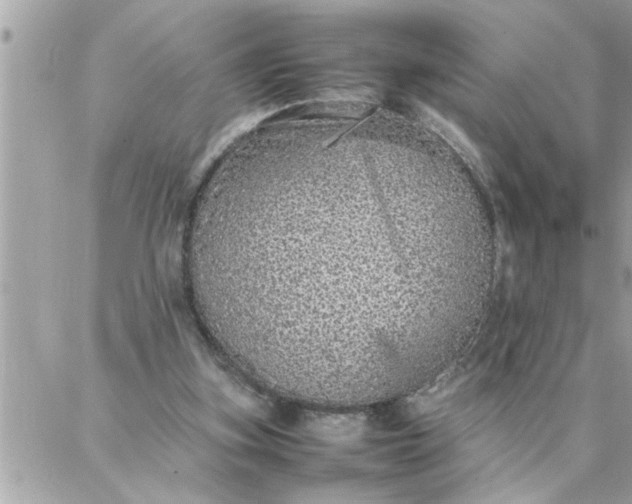 X0000087360155200705041904