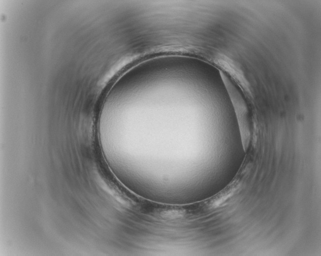 X0000087360156200705041904