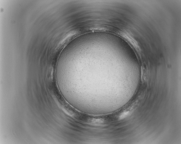 X0000087360157200705041904