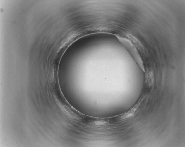 X0000087360158200705041904