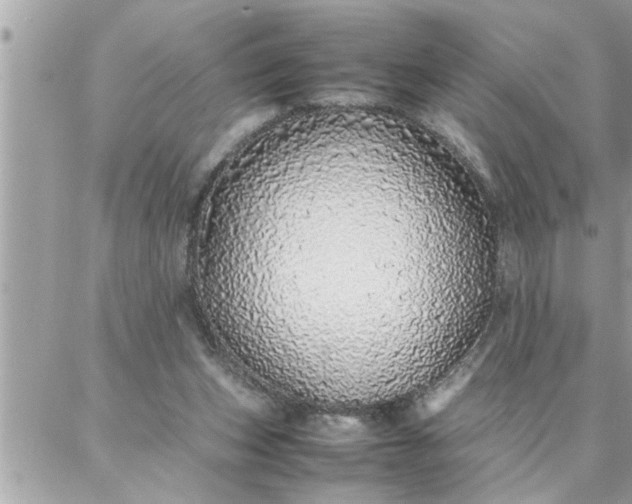 X0000087360159200705041904