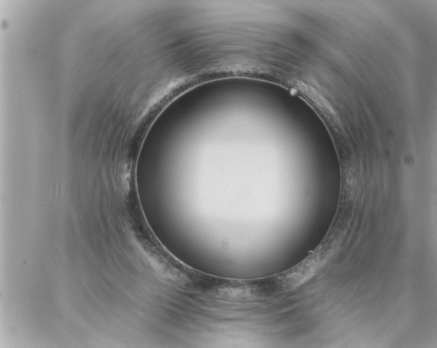 X0000087360160200705041904