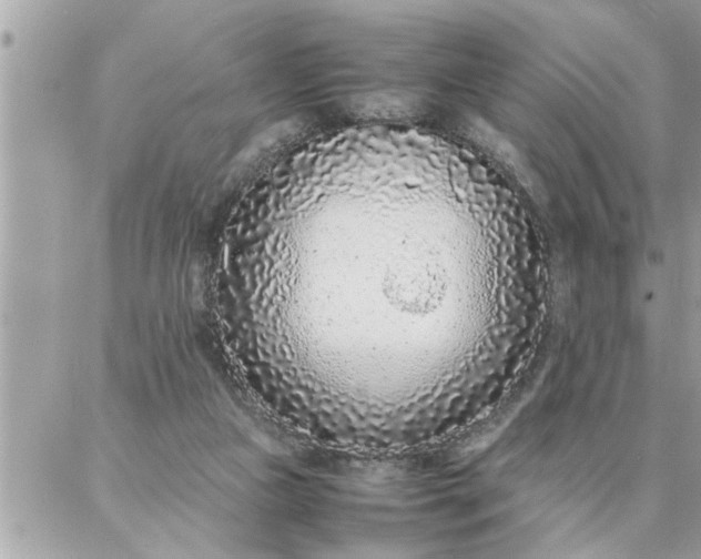 X0000087360161200705041904