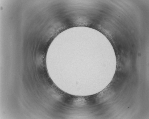 X0000087360162200705041904