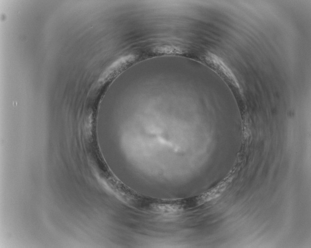 X0000087360163200705041904