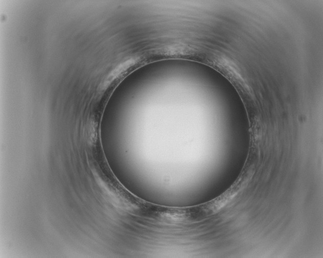 X0000087360164200705041904