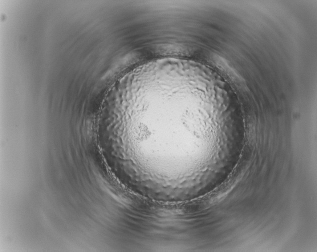 X0000087360165200705041904