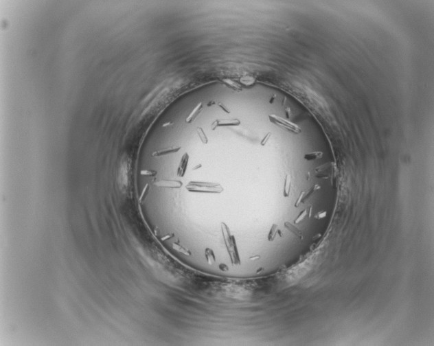 X0000087360166200705041904