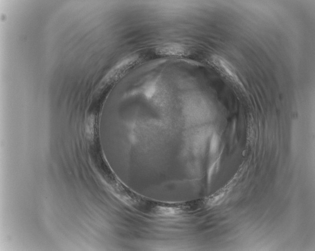 X0000087360167200705041904