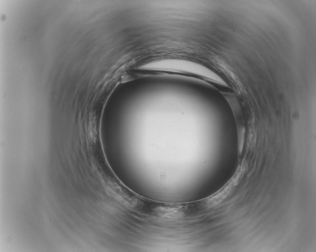 X0000087360170200705041904