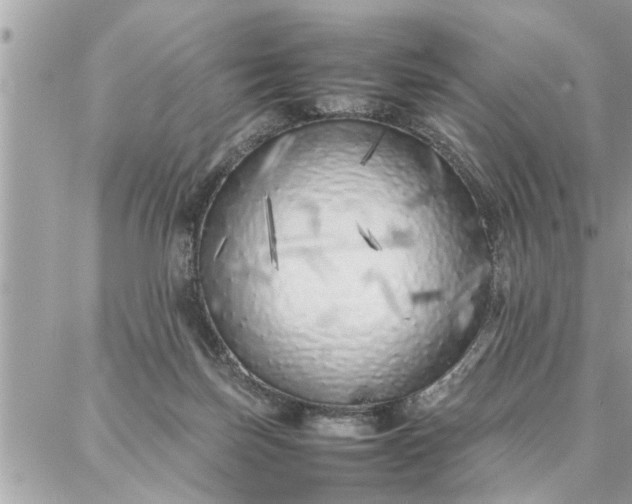 X0000087360171200705041904