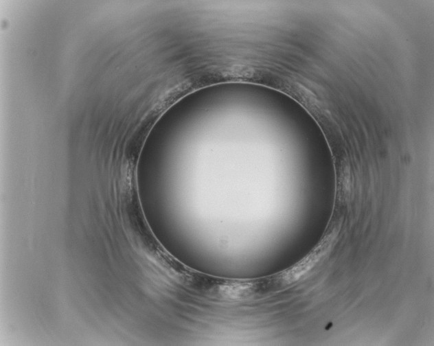 X0000087360172200705041904