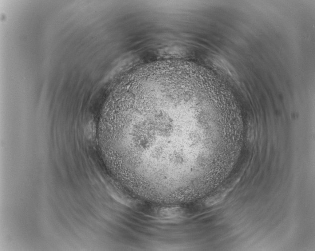 X0000087360173200705041904