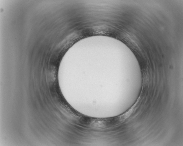 X0000087360174200705041904