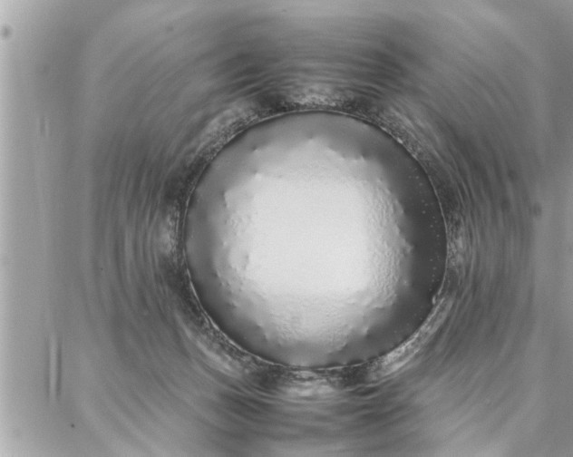 X0000087360175200705041904