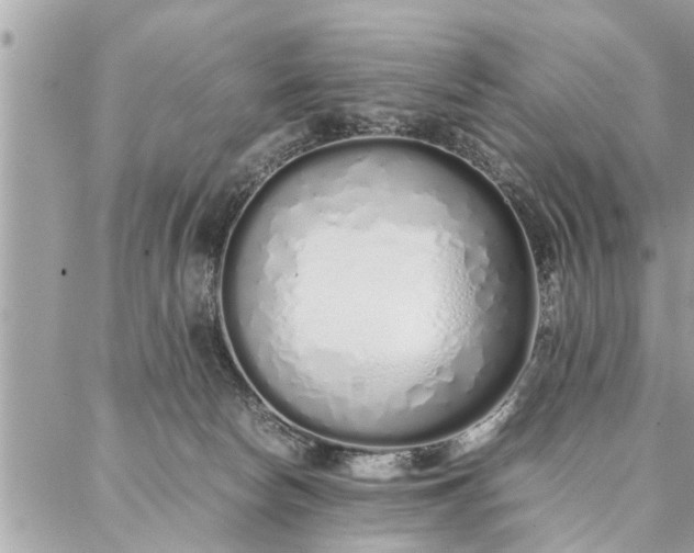 X0000087360178200705041904