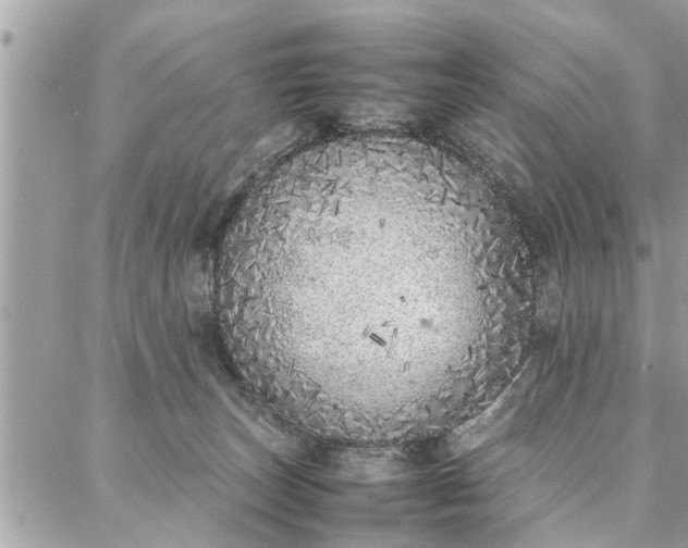 X0000087360179200705041904