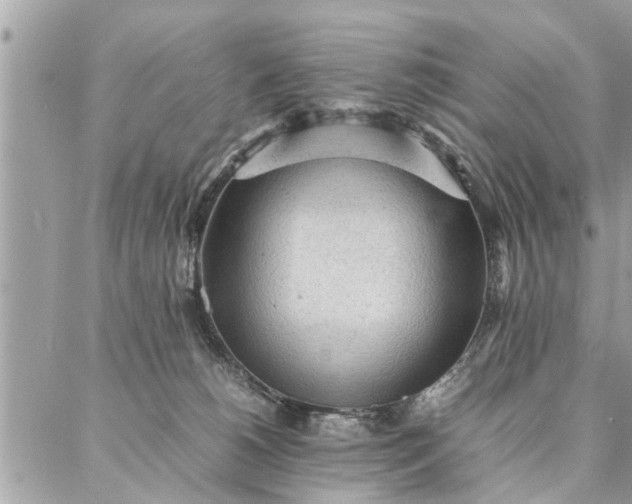 X0000087360180200705041904