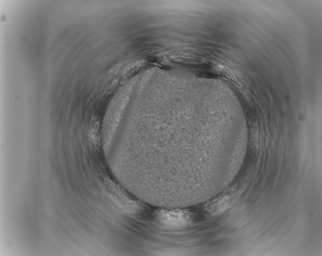 X0000087360181200705041904