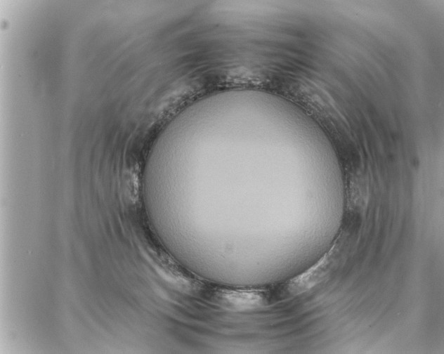 X0000087360183200705041904