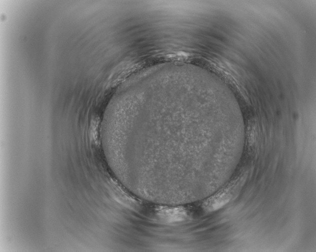 X0000087360185200705041904