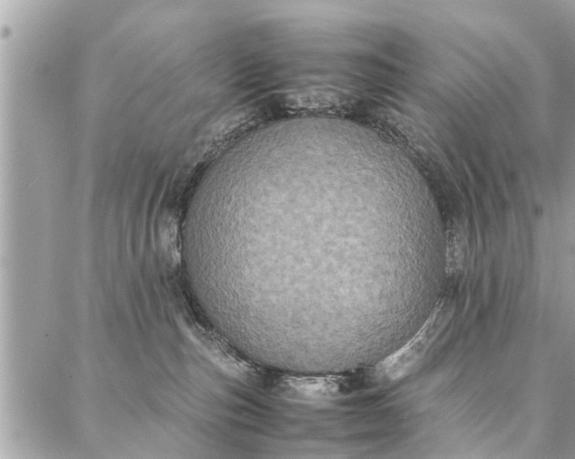 X0000087360187200705041904