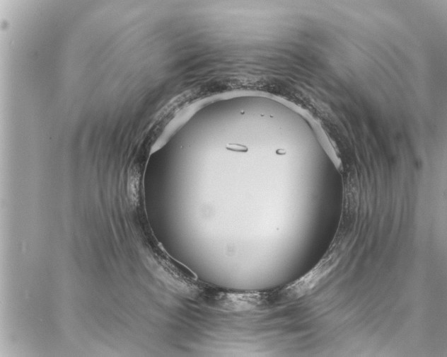 X0000087360188200705041904