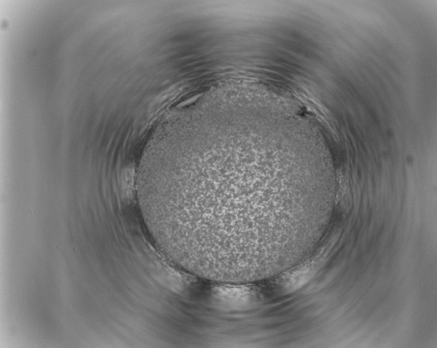 X0000087360189200705041904