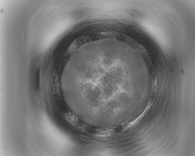 X0000087360191200705041904